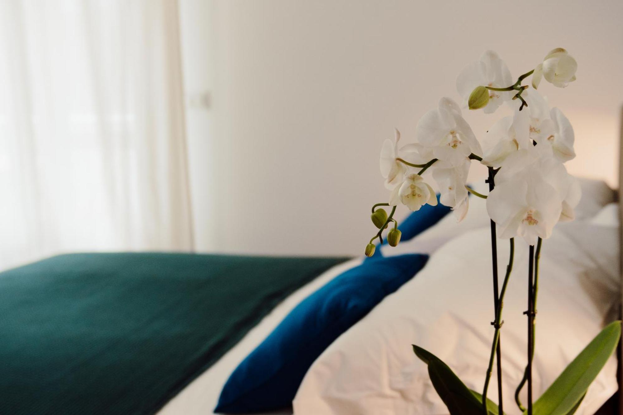 Sweet Dreams Hotel Civitavecchia Exterior foto